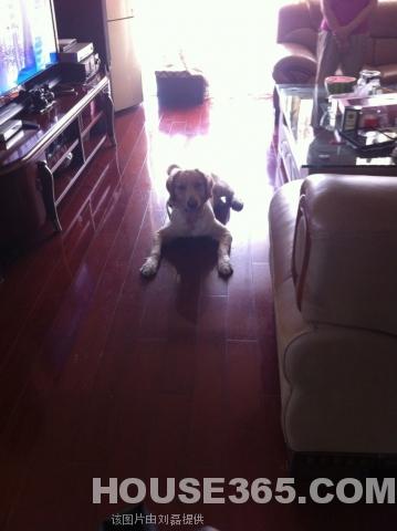 合肥二手房_乡村花园南艳湾紧邻南艳湖_365地