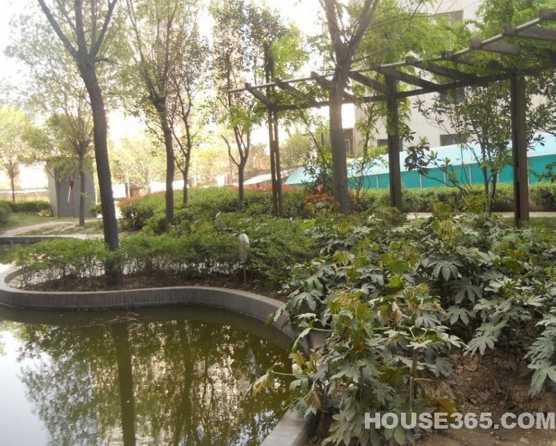 1.小区介绍:凯森福景雅苑位于南二环与东二环黄金交叉点绿化率高达41%。项目直线距离南二环60米,规划中的城市绿化带将项目与南二环相连接。远离喧嚣闹中取静,又可坐享东南二环便利的交通环境以及区域内近乎完美的生活配套 2交通状况:.208路、228路、308路、320路、700路、702路、705路、716路、903路、44路、二环1号线、二环2号线等 3.