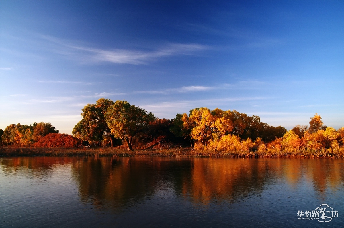 十一带上我最爱人的去【额济纳】_第3页_旅游天地_华侨路茶坊
