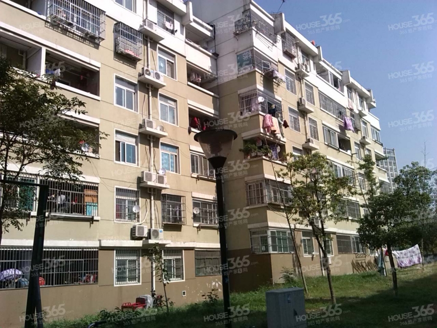 合肥二手房 合肥二手房出售 高新区小区 科技园小区 香樟花园 高新区