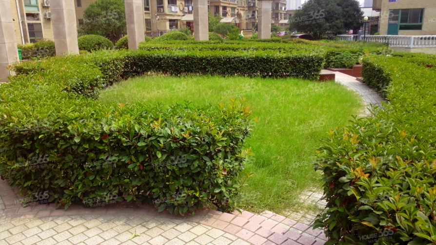 太阳花园_无锡太阳花园二手房|租房|房价_无锡365淘房