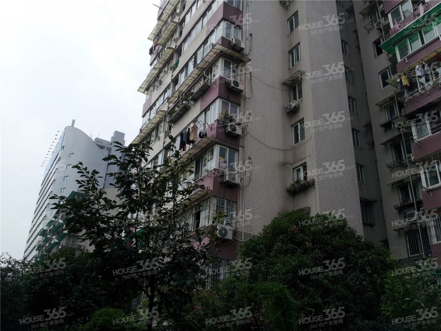 【滨河公寓外立面实景图_杭州滨河公寓外立面实景图_大图模式】_杭州