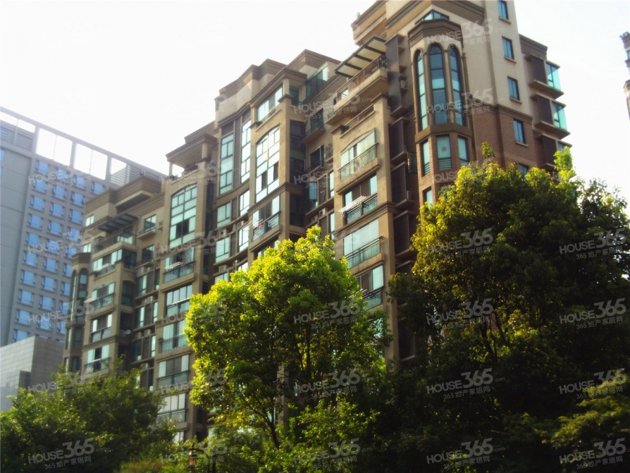 绿地国际花都郁金苑